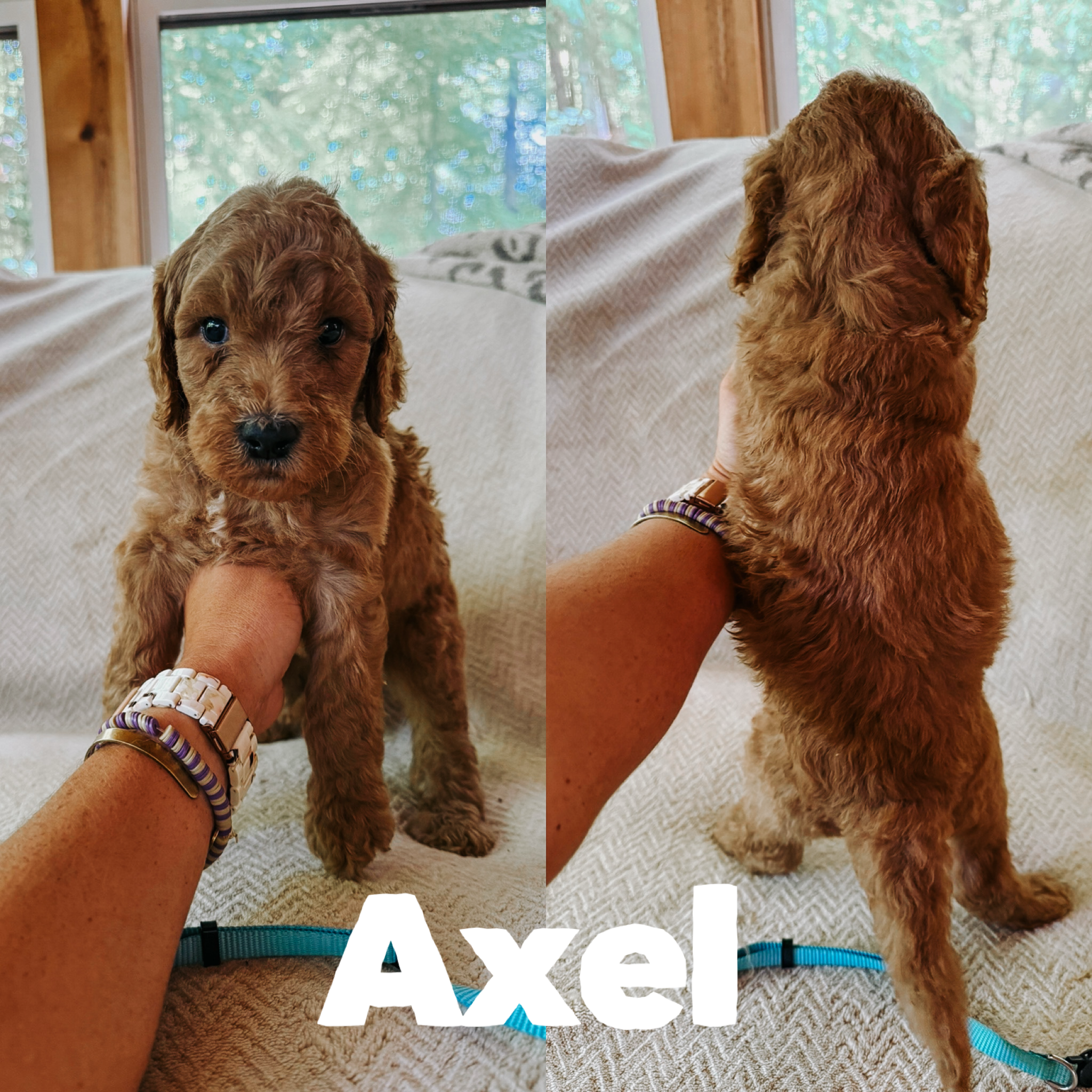 Axel 1